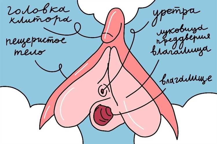 Аргумент 1: Фокус на удовольствии партнера