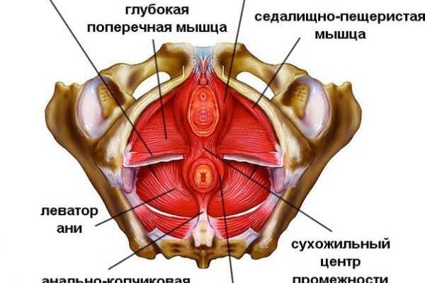 Общая информация