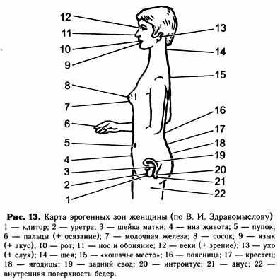 Чувствительные места на животе