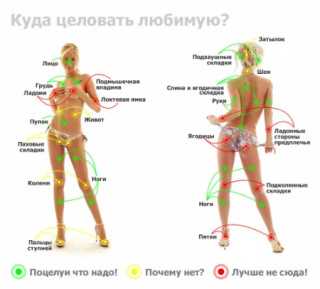 Задняя поверхность шеи