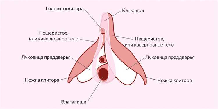 Психологическое влияние оргазма